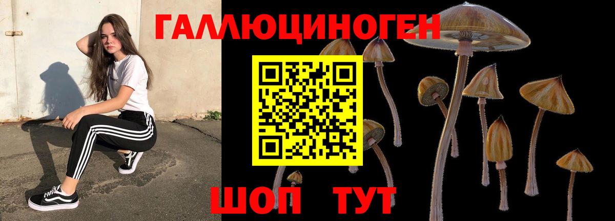 Псилоцибиновые грибы Magic Shrooms  Вход с VPN  Камышин 